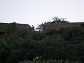 Rajasthan 2011-09-24 18-24-24 (SAM_0633) (Large)